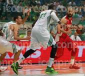 ΠΑΝΑΘΗΝΑΙΚΟΣ ΟΛΥΜΠΙΑΚΟΣ ΑΓΩΝΙΣΤΙΚΗ BASKET LEAGUE