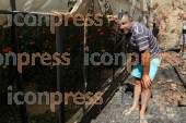 ΠΥΡΚΑΓΙΑ ΣΤΗΝ ΜΕΣΣΑΡΑ ΗΡΑΚΛΕΙΟΥ