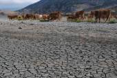 ΠΤΩΣΗ ΣΤΑΘΜΗΣ ΝΕΡΟΥ ΛΙΜΝΗ ΚΑΡΛΑ