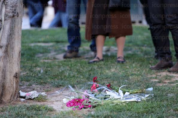 ΛΙΓΑ-ΛΟΥΛΟΥΔΙΑ-ΔΕΝΔΡΟ-ΠΛΑΤΕΙΑΣ-ΣΥΝΤΑΓΜΑΤΟΣ-8
